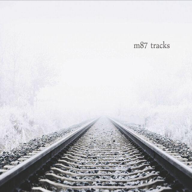 Tracks