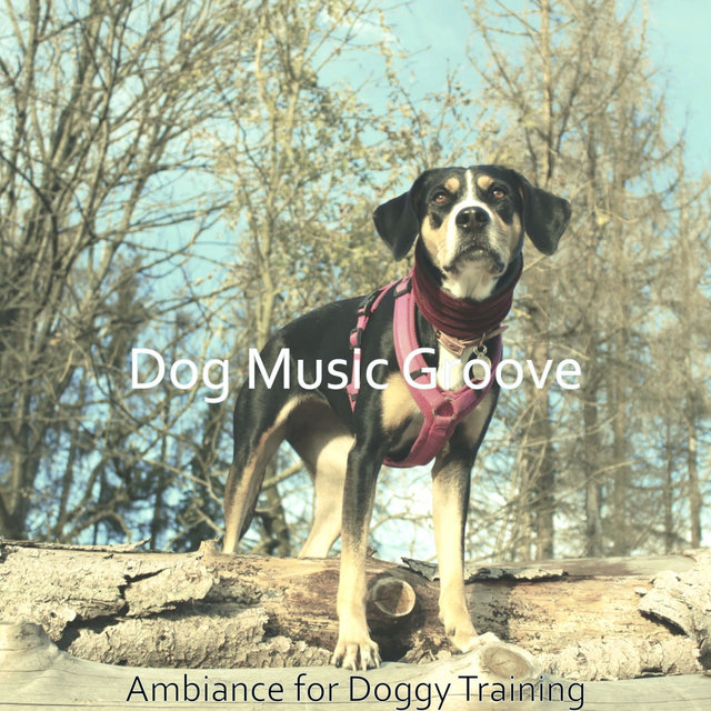Ambiance for Doggy Training