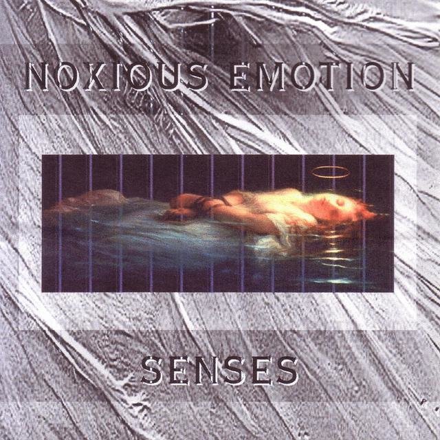 Senses (Out of Print)