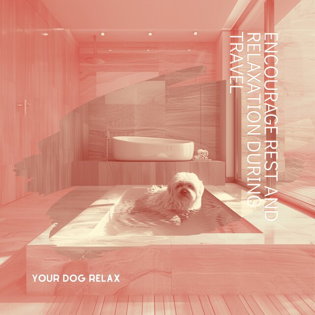 Encourage Rest and Relaxation During Travel