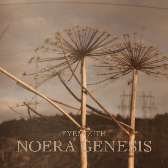 Noera Genesis