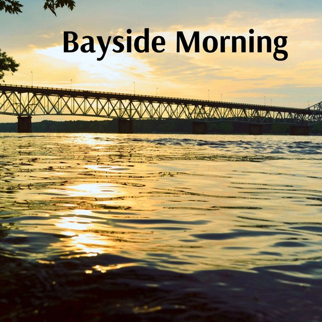 Bayside Morning