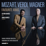 Nabucco / Vieni, o Levita!... Tu sul labbro de’ veggenti (Zaccaria, Act 2)