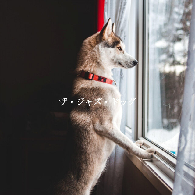 ザ・ジャズ・ドッグ