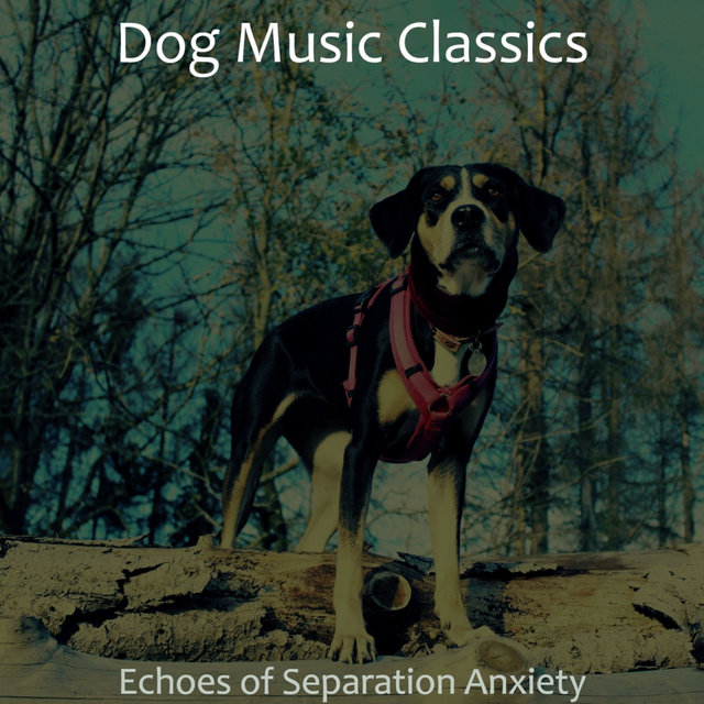 Echoes of Separation Anxiety