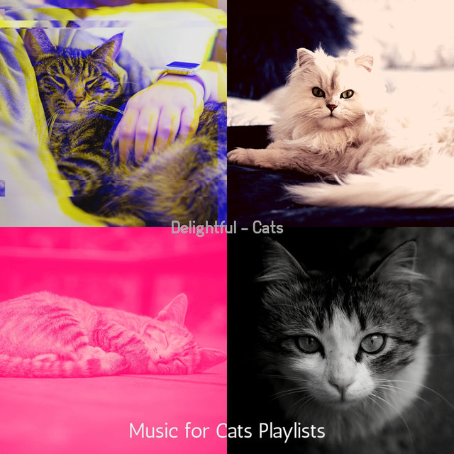 Delightful - Cats
