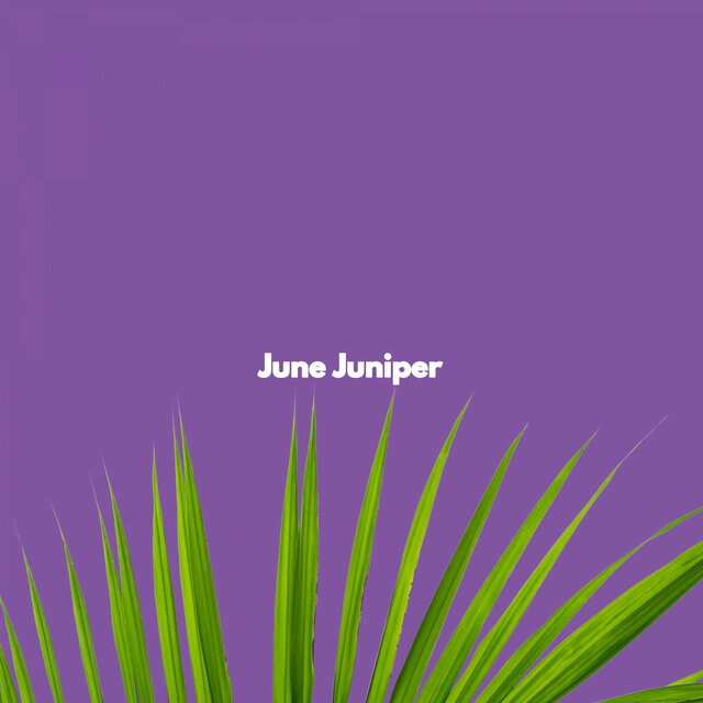 June Juniper