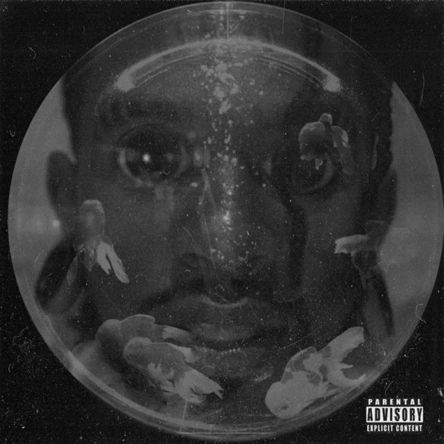 FishTank, Vol. 1