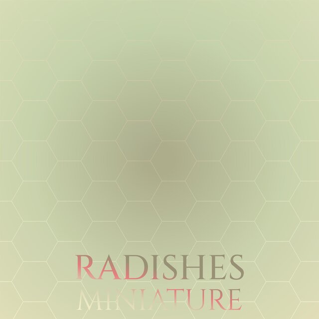 Radishes Miniature
