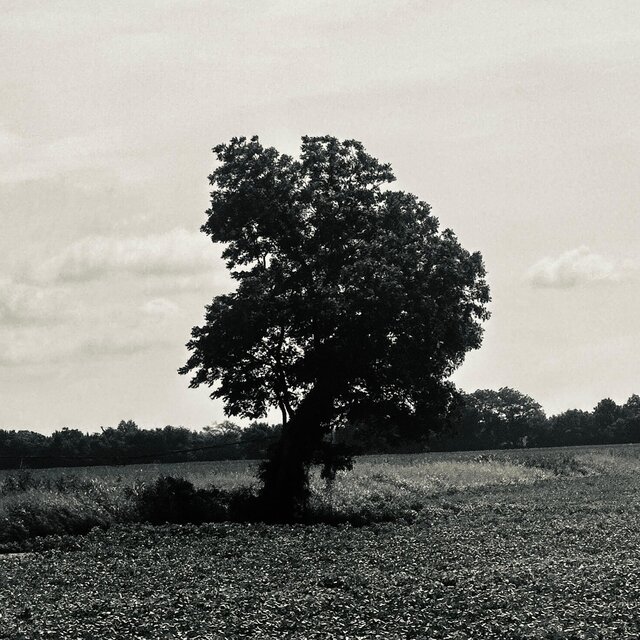 DELTA