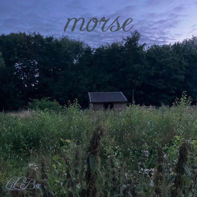 morse