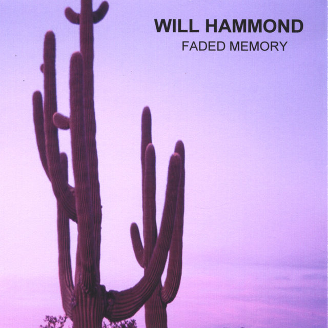 Faded Memory