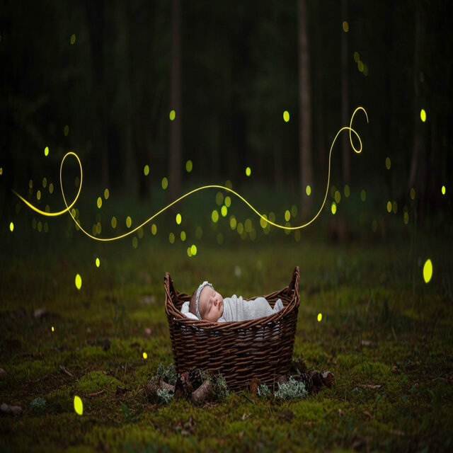 Little Lights, Big Dreams
