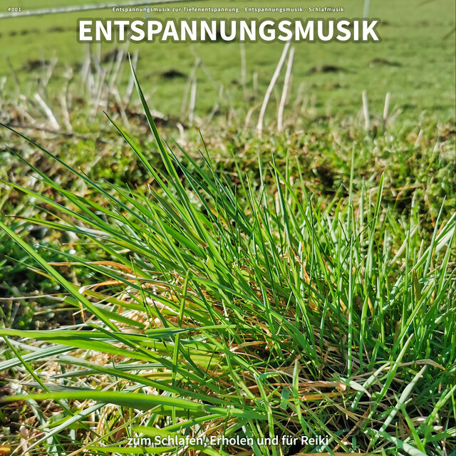 #001 Entspannungsmusik zum Schlafen, Erholen und für Reiki