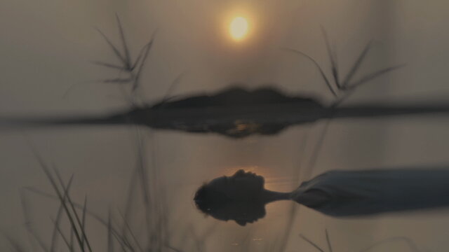 Illusion Of A Desert Island