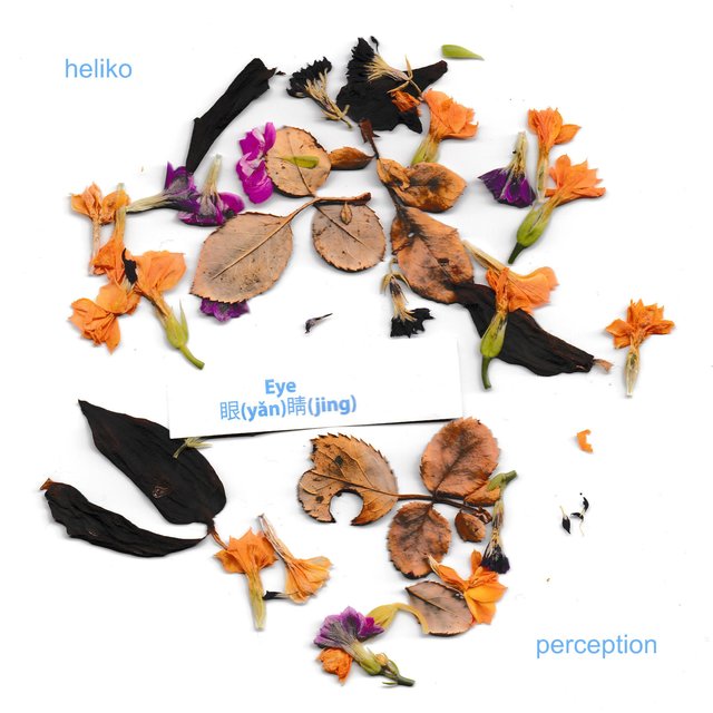 Perception