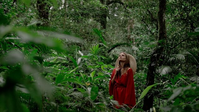 Jungle Storm