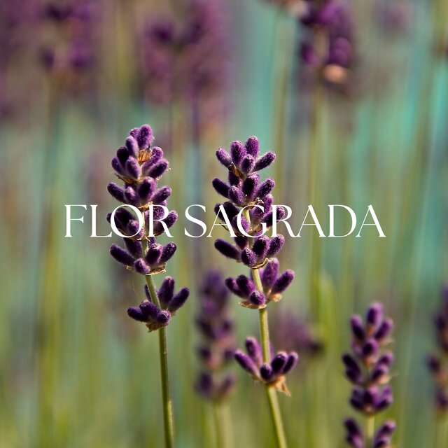 Flor Sagrada