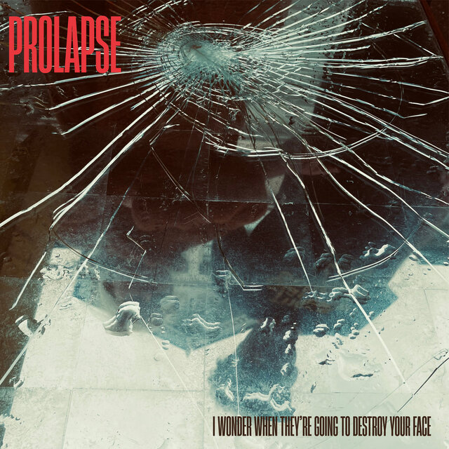 Cover art for album I Wonder When They're Going to Destroy Your Face by Prolapse