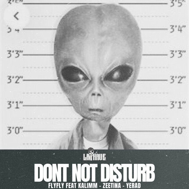Dont Not Disturb