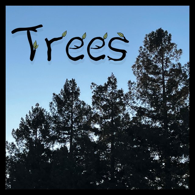 Trees