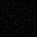 The Stars