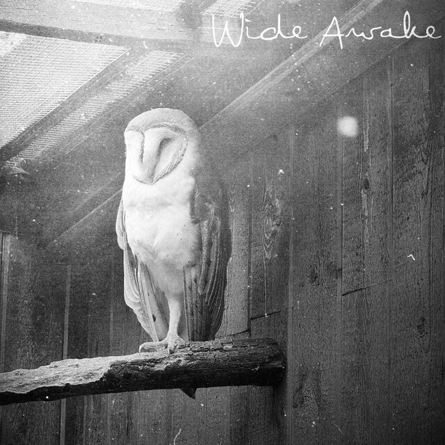 Wide Awake