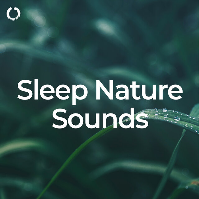 Sleep Nature Sounds
