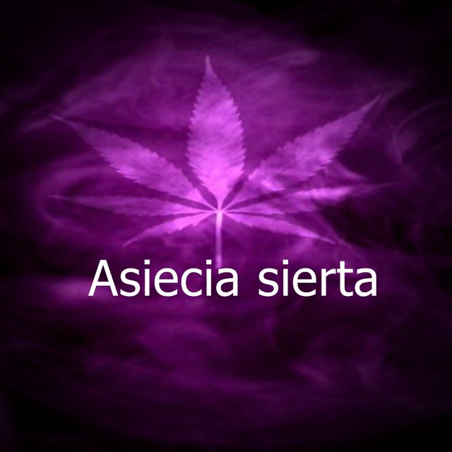 Asiecia sierta