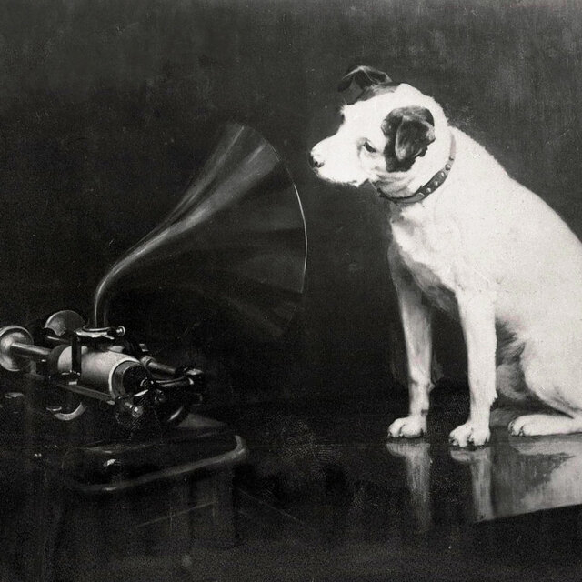 Cover art for album Word up by User