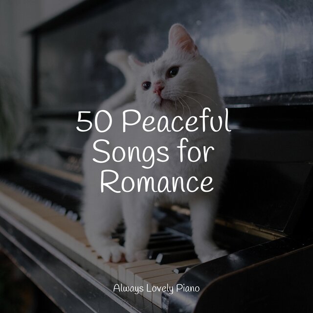 50 Blissful Piano Tracks