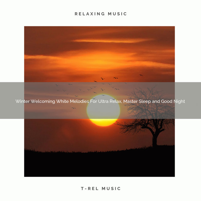 Winter Welcoming White Melodies For Ultra Relax, Master Sleep and Good Night