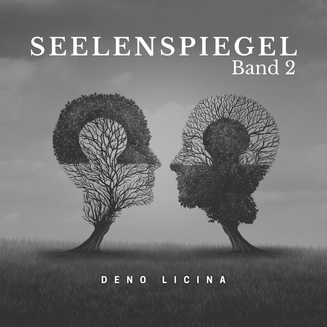 Seelenspiegel Band 2