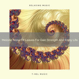 Calming Noise For Long Evenings, Feel Better, And So Much More