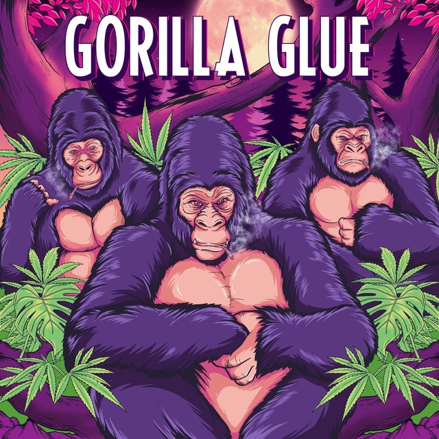 Gorilla Glue