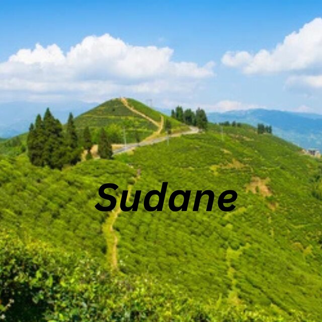 Sudane