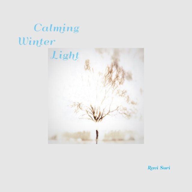 Calming Winter Light