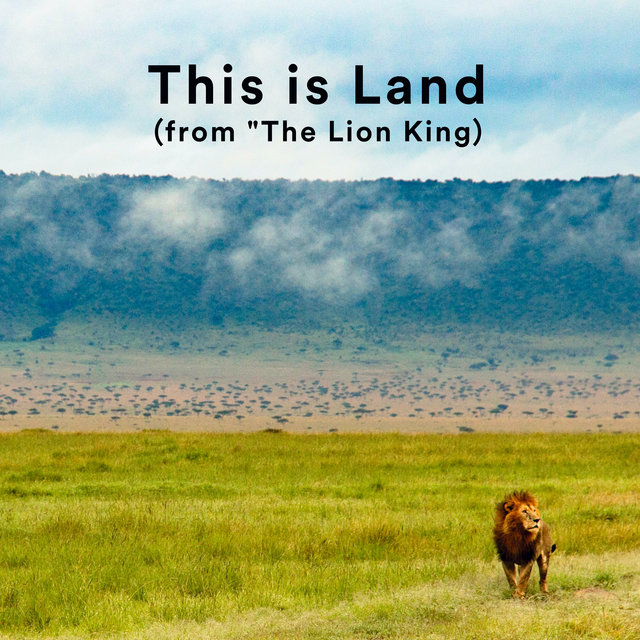 This is Land (from 