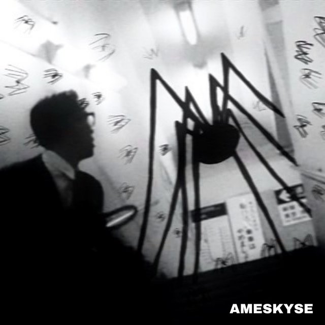 AMESKYSE