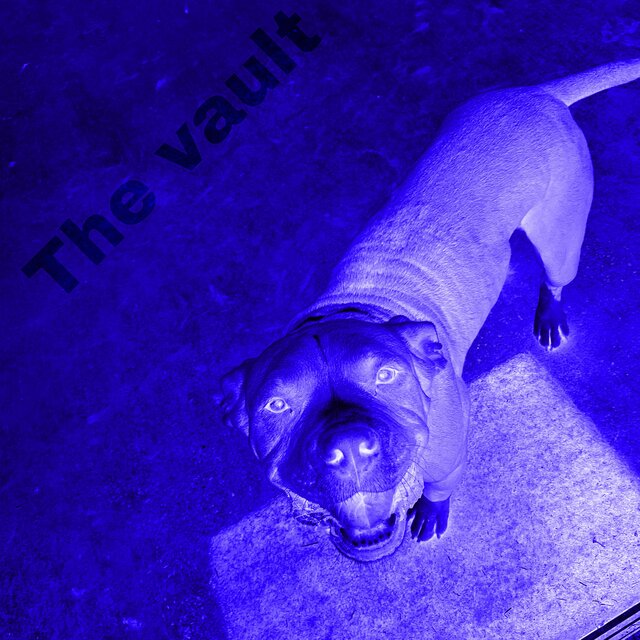 The Vault