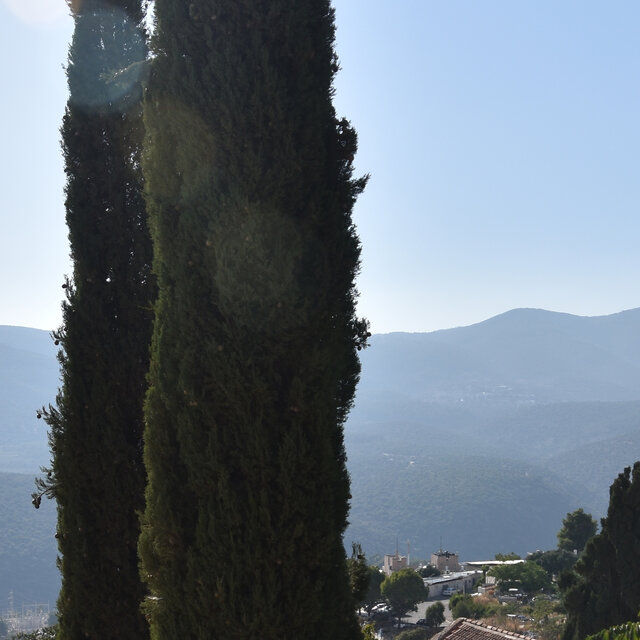Music Born in the Heart of Tzfat