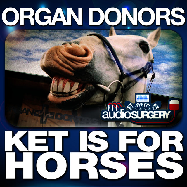 Ket Is for Horses