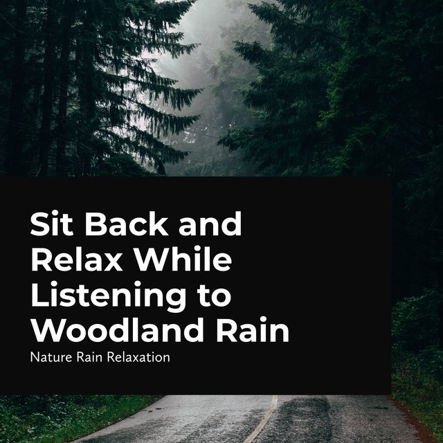 Sit Back and Relax While Listening to Woodland Rain