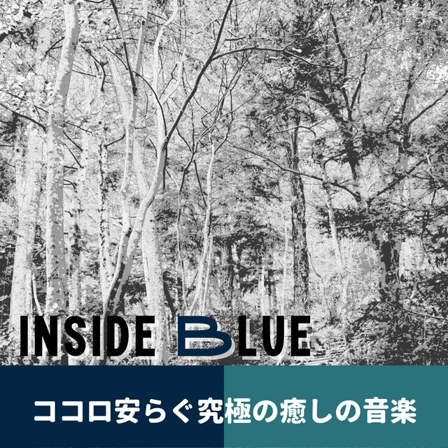 ココロ安らぐ究極の癒しの音楽
