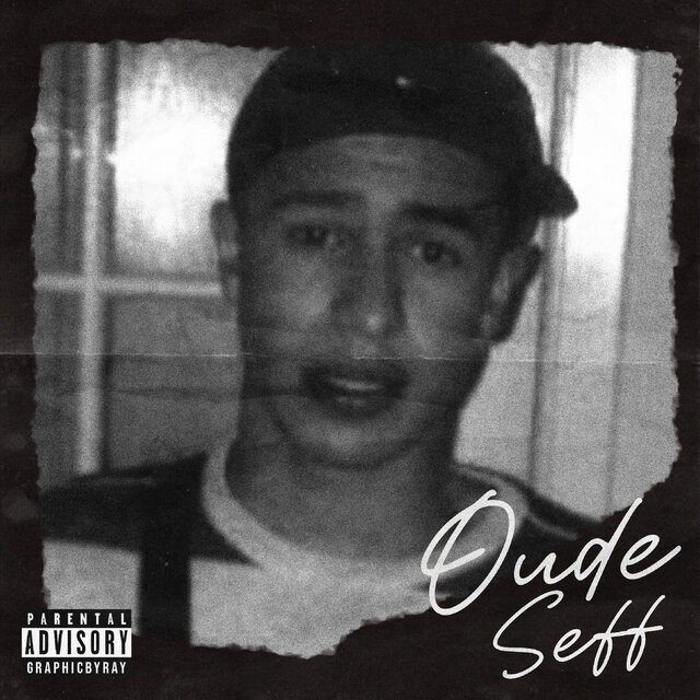 Cover art for album  by Seffelinie