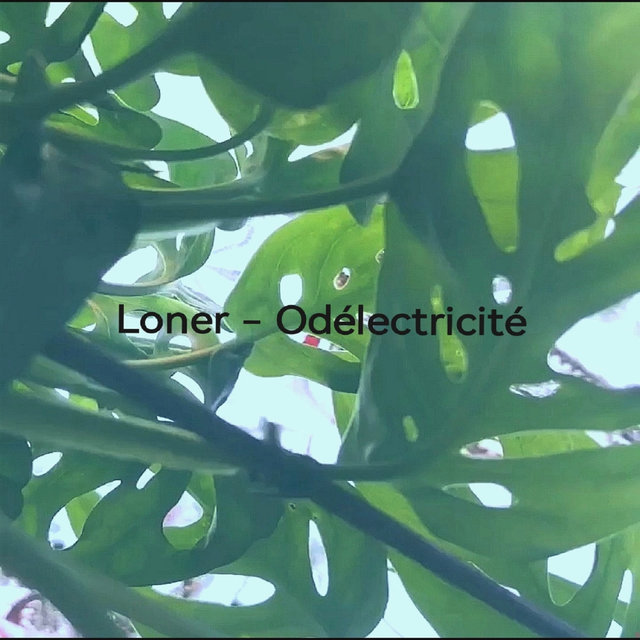 Odélectricité