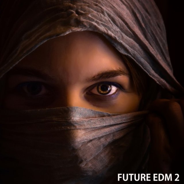 Future EDM 2
