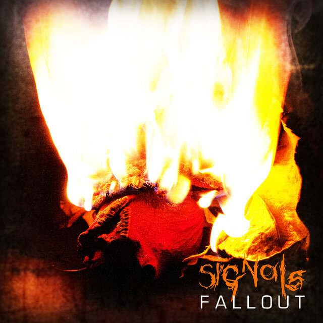 Fallout