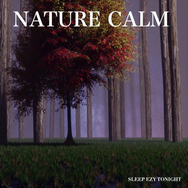 Nature Calm