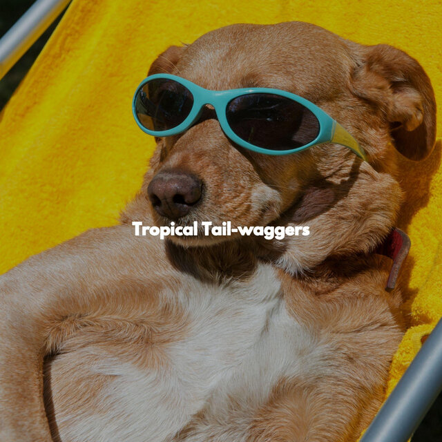 Tropical Tail-waggers